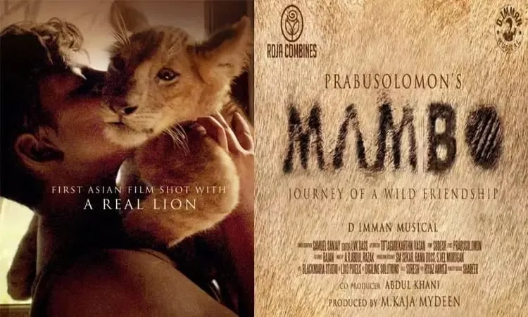 Mambo: Prabhu Solomon's Ambitious Venture with Real Lion