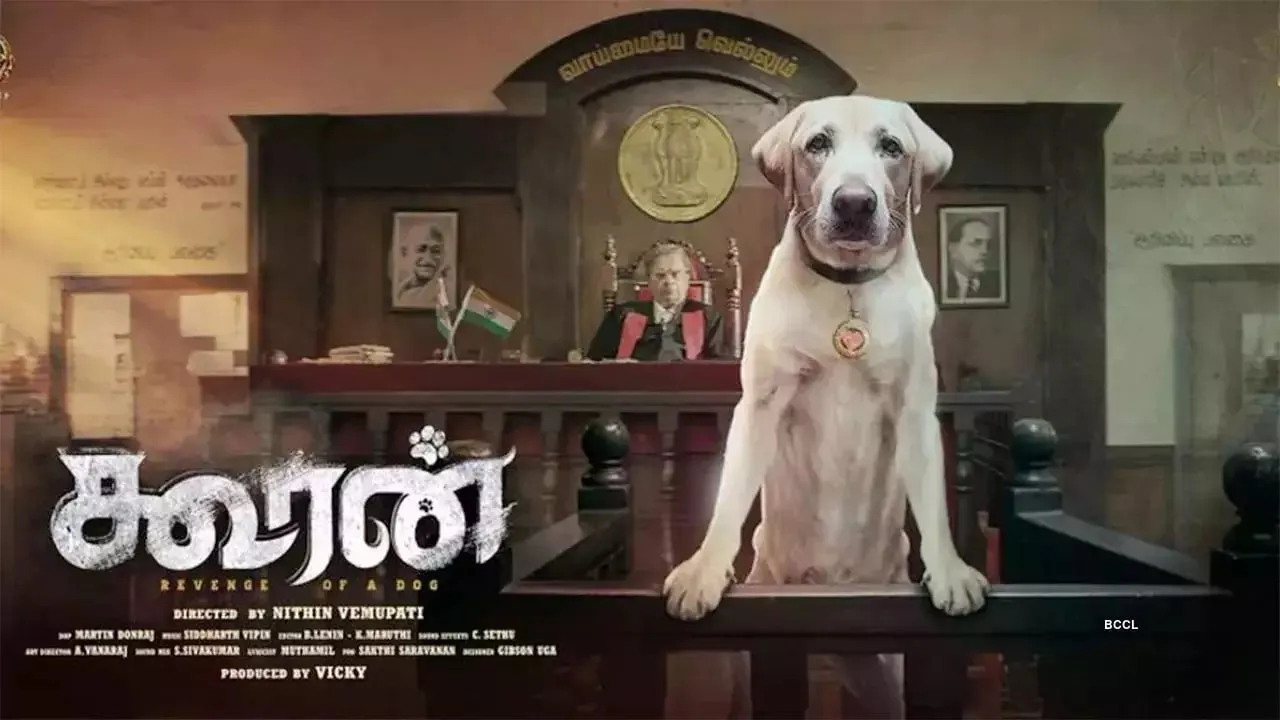 Kooran: Barking Up the Right Tree