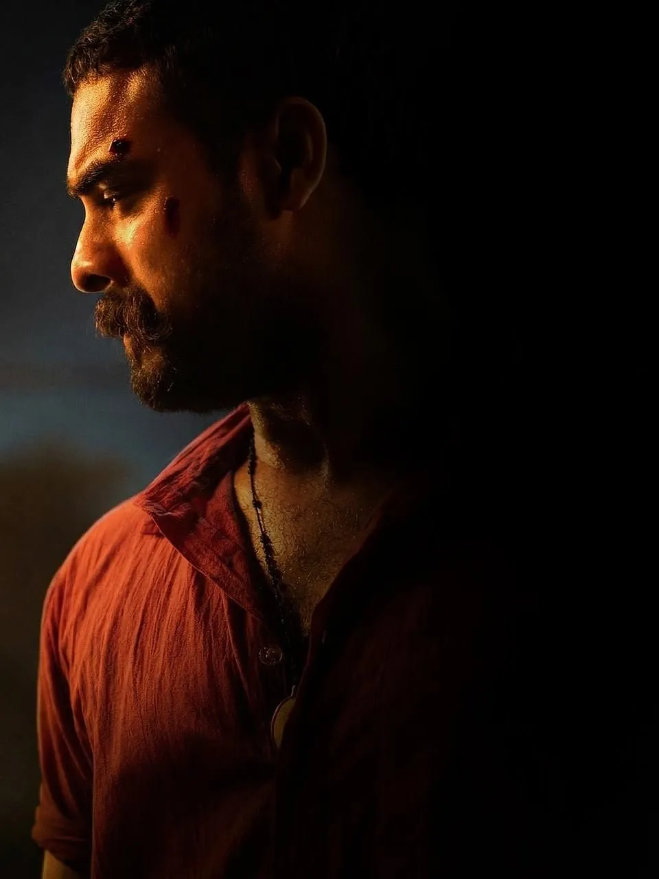 Pallichattambhi official teaser announcement poster featuring Tovino Thomas