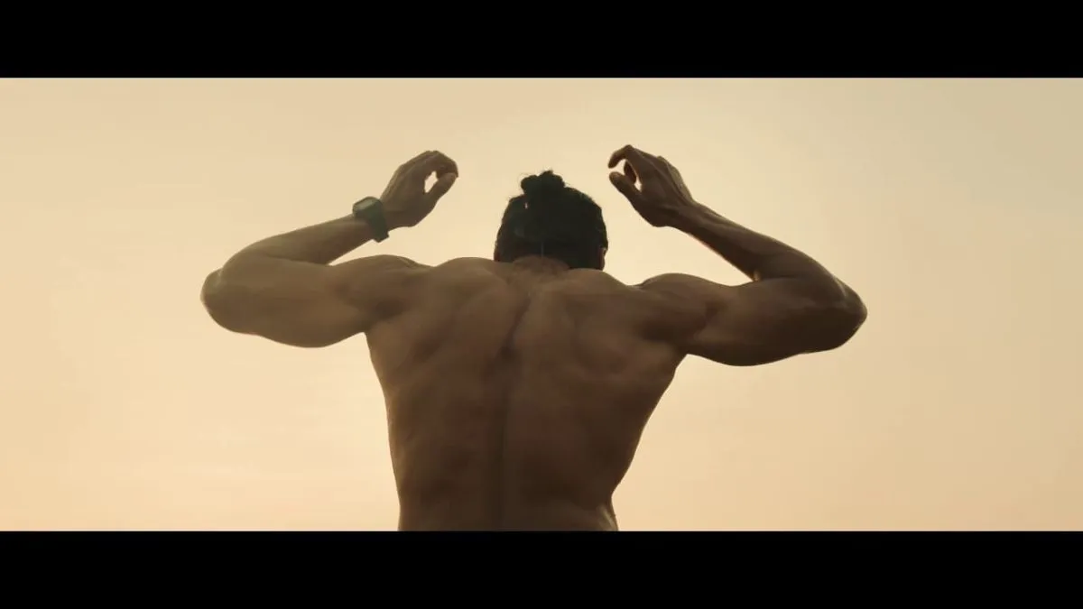 Arya's muscular silhouette against a golden sky in Mr X